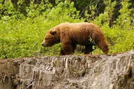 Hope Turnagain Pass Scenic Float Trip thumbnail 3