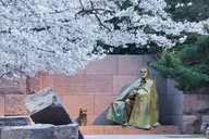 Washington D.C. Walking Tour of Jefferson, FDR, and MLK Memorials thumbnail 5