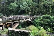 Maui Road to Hana Private Tour - Full Circle Reverse thumbnail 6