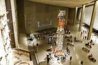 New York City 9/11 Memorial and Museum Tour 1 hr thumbnail 6
