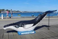 Provincetown Scavenger Hunt Adventure thumbnail 1