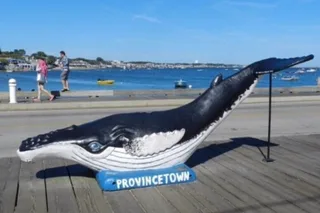 Provincetown Scavenger Hunt Adventure