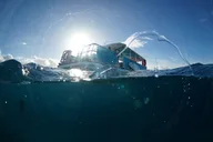 Honolulu Snorkel Tour thumbnail 5