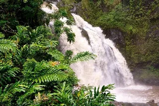 Kahului Private Tour: Halfway to Hana