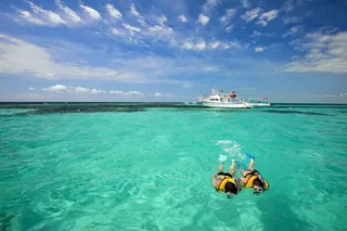 Miami to Key West Day Trip with Activities