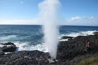 Oahu Circle Island Tour Full Day Experience thumbnail 5