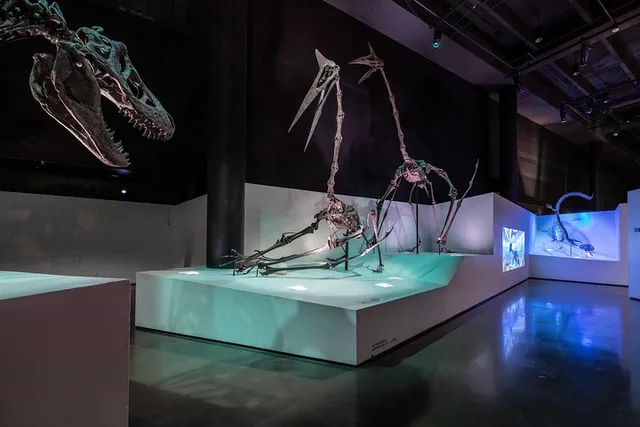 Houston Museum of Natural Science Admission - Image 3