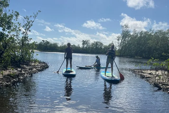 Jupiter Paddleboard Tour - Image 4