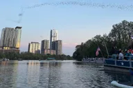 Austin Bat Bridge Kayak Tour at Sunset thumbnail 3