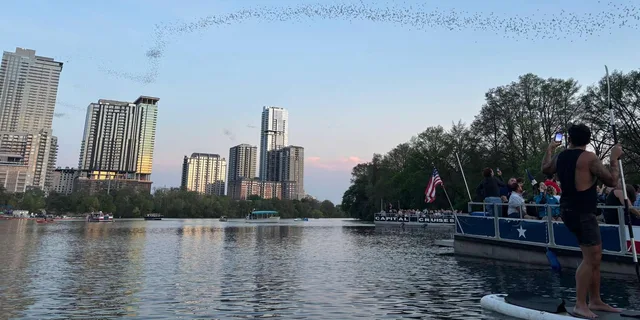 Austin Bat Bridge Kayak Tour at Sunset - Image 3