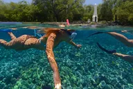 Kona Morning Snorkel Captain Cook & Kealakekua Bay thumbnail 6