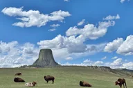 Rapid City Devils Tower Day Trip thumbnail 2
