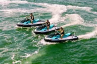 Clearwater Jet Ski Dolphin Tour 1 Hour thumbnail 4