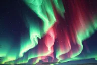 Fairbanks Northern Lights and Arctic Circle Tour thumbnail 1
