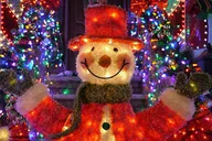 New York City Holiday Lights Sightseeing Tour thumbnail 5