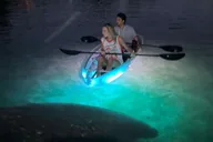 Crystal River Clear Kayak Sunset and Glow Tour thumbnail 2