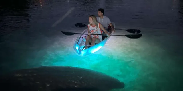 Crystal River Clear Kayak Sunset and Glow Tour - Image 2