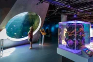 Miami Frost Science Museum and Planetarium Ticket thumbnail 6