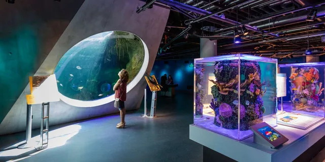 Miami Frost Science Museum and Planetarium Ticket - Image 6