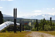 Fairbanks Scenic Van Tour thumbnail 5