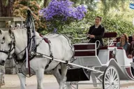 New York City Central Park Horse Carriage Ride thumbnail 1
