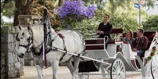 New York City Central Park Horse Carriage Ride