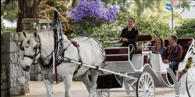 New York City Central Park Horse Carriage Ride - Image 1