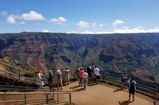 Kauai Waimea Canyon Adventure Tour with Lunch