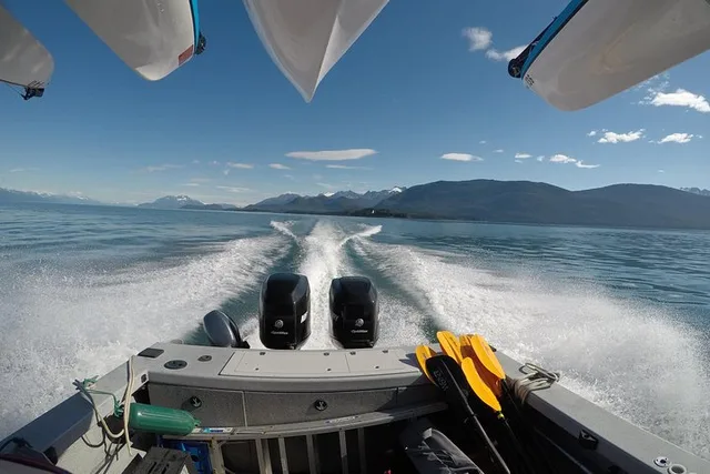 Juneau Kayak Adventure with Whales - Image 4