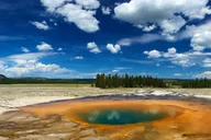 Yellowstone Lower Loop Day Trip from Jackson thumbnail 1