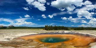 Yellowstone Lower Loop Day Trip from Jackson