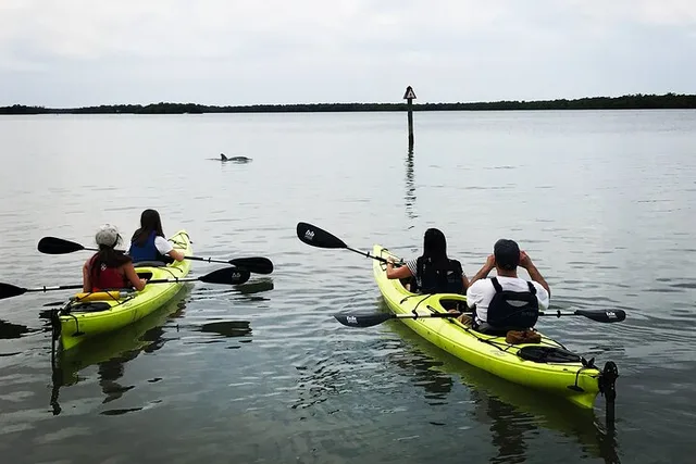 Naples Kayak Tour in Rookery Bay 2 hr - Image 1