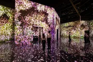 Las Vegas ARTE Museum Immersive Art Experience thumbnail 3