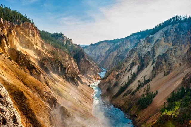 Yellowstone Wildlife Biologist Tour - Image 5