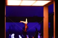 San Francisco Cirque du Soleil ECHO Show thumbnail 1