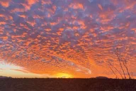 Scottsdale Desert Jeep Tour at Sunset thumbnail 3