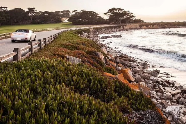 Carmel App-Guided Driving Tour via Uber - Image 3