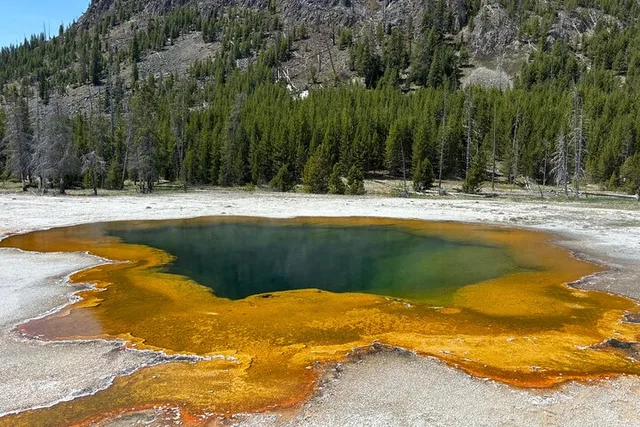 Yellowstone National Park Private Guided Tour - Image 3