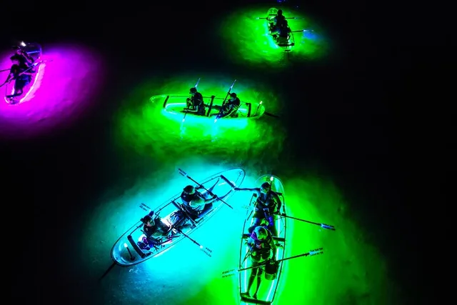Kerrville Glowing Kayak Tour - Image 2