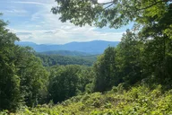 Smoky Mountains Roaring Fork Sightseeing Jeep Tour thumbnail 6
