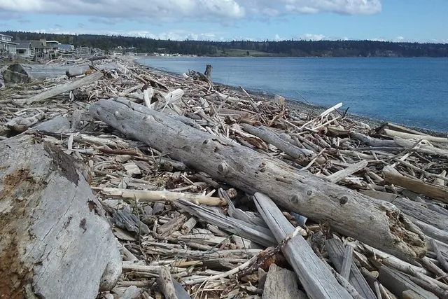 Island Trail and Beach Day - Image 2