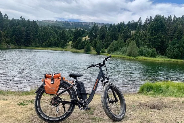 Yellowstone National Park E-Bike Tour - Image 2