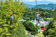 Sevierville Zipline Adventure thumbnail 1