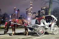 New York City Christmas Light Tour thumbnail 3