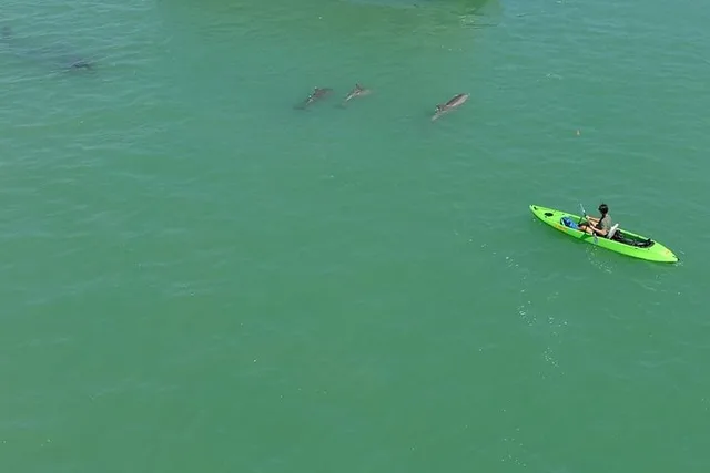 St. Pete Beach Glass Bottom Kayak Adventure - Image 1