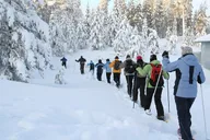 Lake Tahoe Snowshoe Tour thumbnail 2