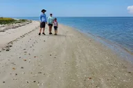 Naples 10,000 Islands Boat Tour & Everglades Walk thumbnail 3