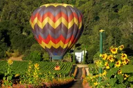 Napa Valley Balloon Ride and Wine Tour thumbnail 1