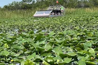 Miami Everglades Airboat Tour with Transportation thumbnail 6