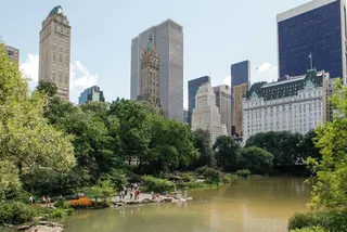 New York City Walking Tour of Central Park and 5th Avenue